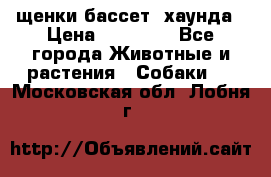 щенки бассет- хаунда › Цена ­ 20 000 - Все города Животные и растения » Собаки   . Московская обл.,Лобня г.